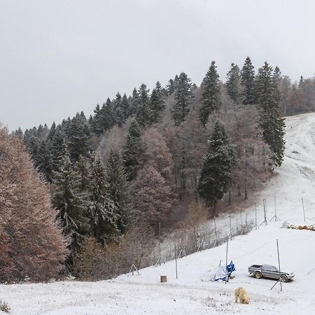 Cabana Girbova Predeal Bagian luar foto